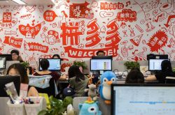 8分钟教程!玉树州政府网站_哔哩哔哩-2
